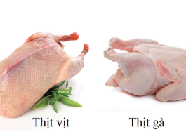 Hiểu biết về thịt