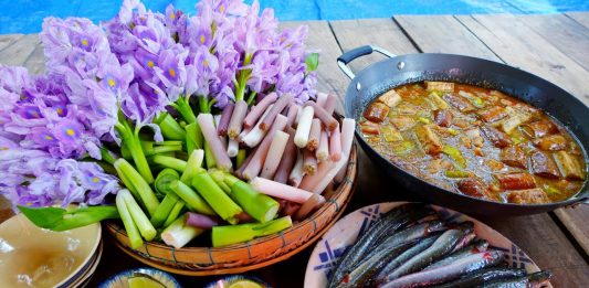 Bèo tây có ăn được không? Bèo tây có ăn được không