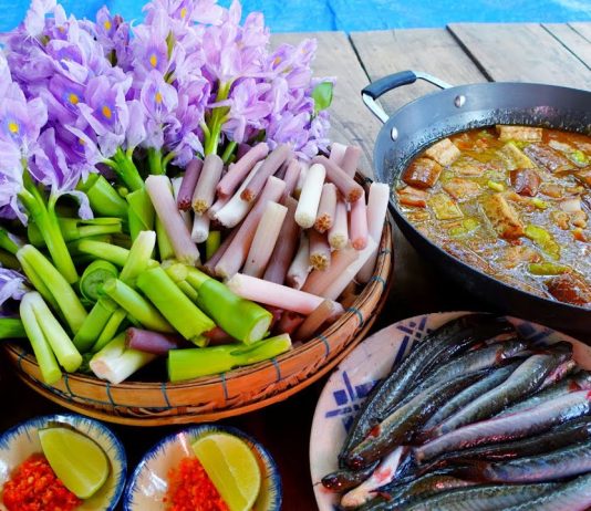 Bèo tây có ăn được không? Bèo tây có ăn được không