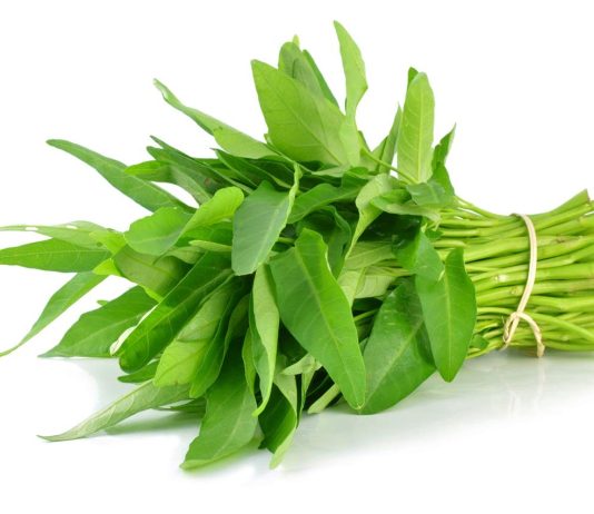 Dấu hiệu nhận biết rau muống nhiễm chì đơn giản nhất