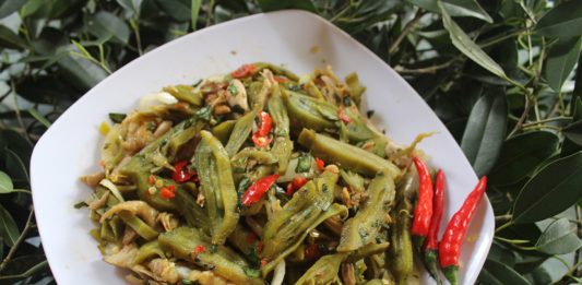 Nộm núc nác món ngon dân dã của núi rừng Tây Bắc Nộm núc nác món ngon dân dã của núi rừng Tây Bắc