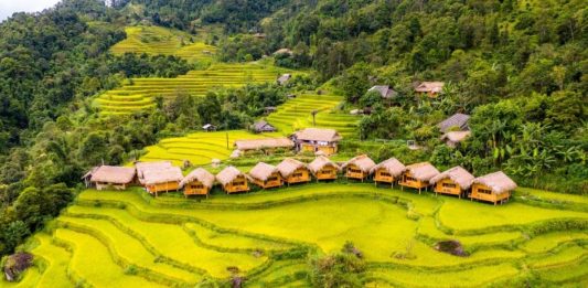 Hoàng Su Phì 2023 “Tiếng gọi mùa vàng” sẽ diễn ra với nhiều hoạt động hấp dẫn Tiếng gọi mùa vàng" Hoàng Su Phì 2023