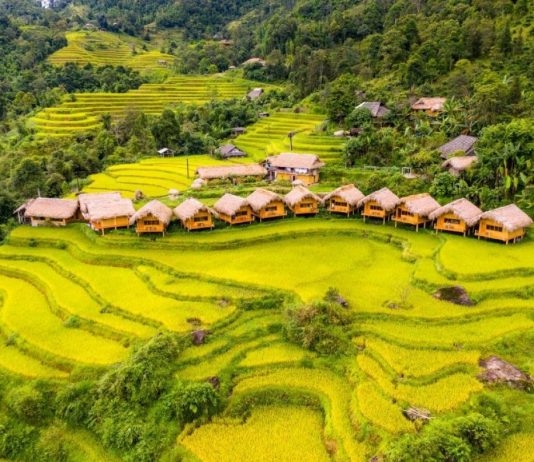 Hoàng Su Phì 2023 “Tiếng gọi mùa vàng” sẽ diễn ra với nhiều hoạt động hấp dẫn Tiếng gọi mùa vàng" Hoàng Su Phì 2023