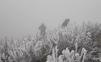 Mẫu Sơn phá kỷ lục với âm 2,5 độ, Hà Nội 9,2 độ