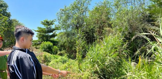 Lời khai rợn người của kẻ sát hại cô gái