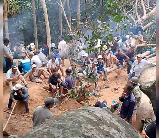 Sự thật thông tin người đàn ông Phú Yên trúng 'lộc rừng'