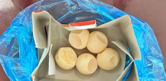 Mua trứng rùa biển trái phép. Mẹ chồng nàng dâu cùng nộp phạt hơn 1 tỉ đồng