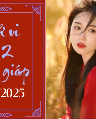 Tử vi 12 con giáp hôm nay 5/7/2025: Thìn khó khăn, Dậu ổn định