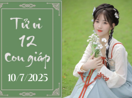 Tử vi 12 con giáp ngày 10/7/2025: Thìn nóng vội, Ngọ phát triển