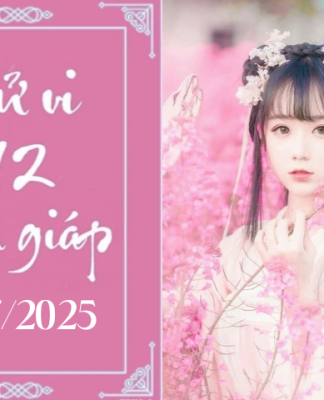 Tử vi 12 con giáp hôm nay 19/7/2025: Dần may mắn, Thân khởi sắc