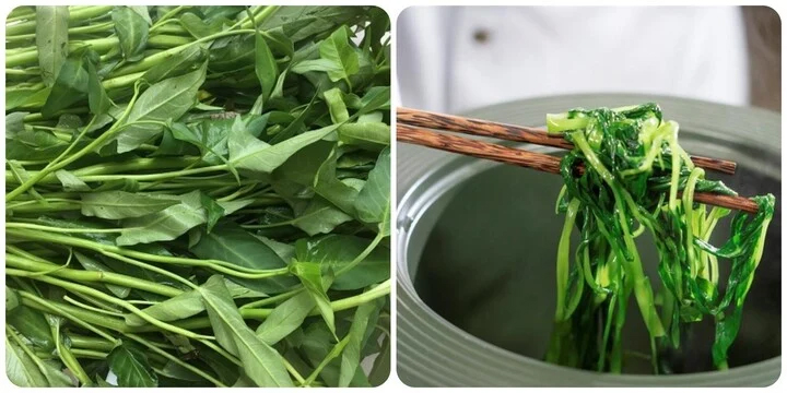 Rau Muống Dễ Nhiễm Chì: Dấu Hiệu Nhận Biết và Lựa Chọn An Toàn