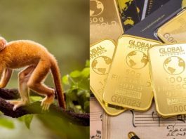 Tử vi hôm nay: Tin vui cho 4 con giáp may mắn ngày 9/9/2025 4 con giáp may mắn