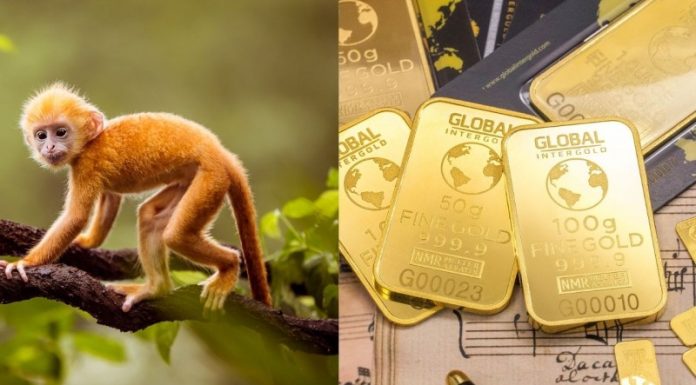 4 con giáp may mắn