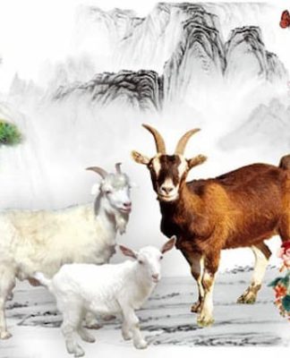 Tuần từ 29/9 – 5/10: 4 Con Giáp Càng Chăm Càng Giàu, Công Danh Vang Dội