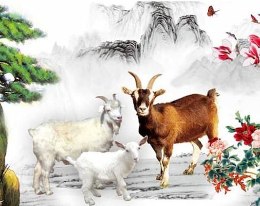 Tuần từ 29/9 – 5/10: 4 Con Giáp Càng Chăm Càng Giàu, Công Danh Vang Dội