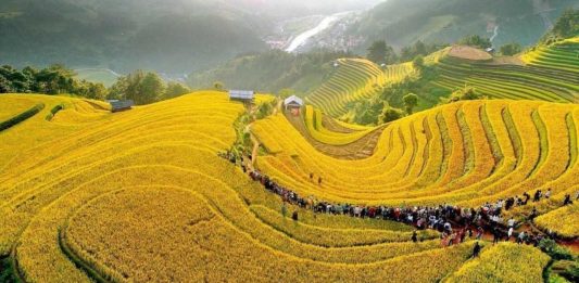 Giải Mã Ý Nghĩa Tên Gọi Mù Cang Chải – Vẻ Đẹp Tiềm Ẩn Của Đất Trời