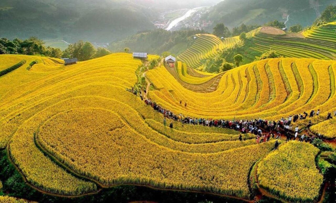 Mù Cang Chải 