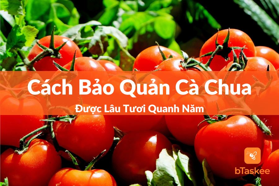 Ảnh đầu bài