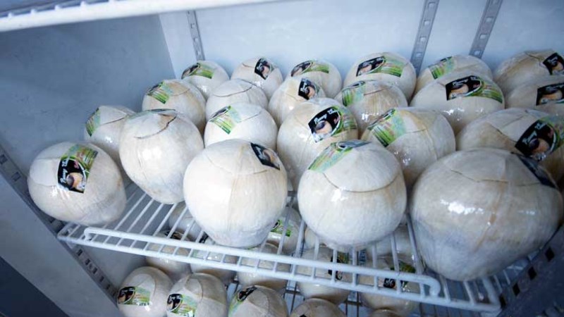 Bảo Quản Nước Dừa