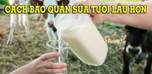 Cách Giữ Sữa Tươi Tươi Lâu Hơn – Bí Quyết Bảo Quản Hiệu Quả