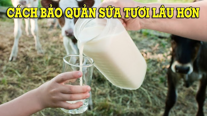 Sữa Tươi 