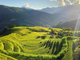 Khám Phá Vẻ Đẹp Hùng Vĩ Của Ruộng Bậc Thang Hoàng Su Phì