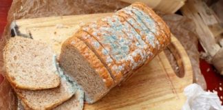 Bảo Quản Bánh Mì Không Bị Mốc