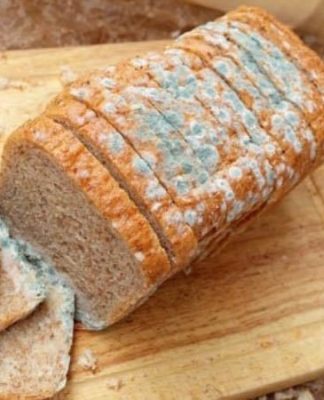 Cách Bảo Quản Bánh Mì Không Bị Mốc: Mẹo Bảo Quản Đơn Giản Tại Nhà Bảo Quản Bánh Mì Không Bị Mốc