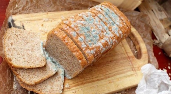 Bảo Quản Bánh Mì Không Bị Mốc