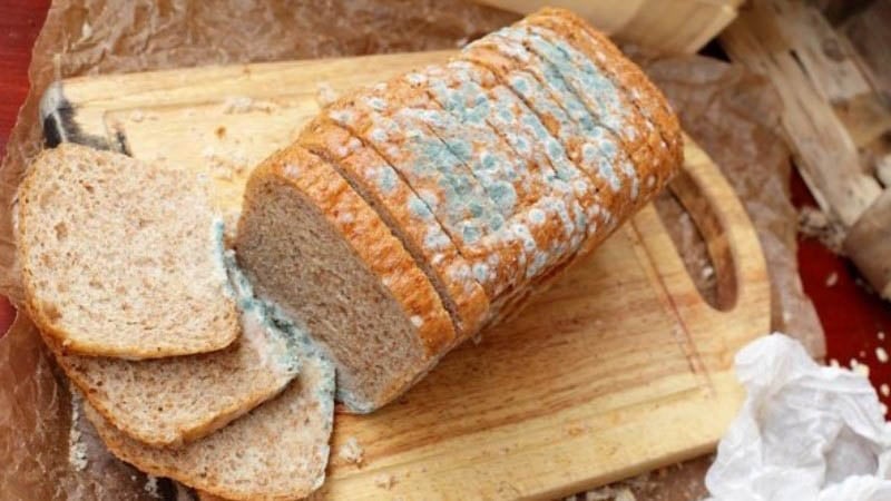 Bảo Quản Bánh Mì Không Bị Mốc