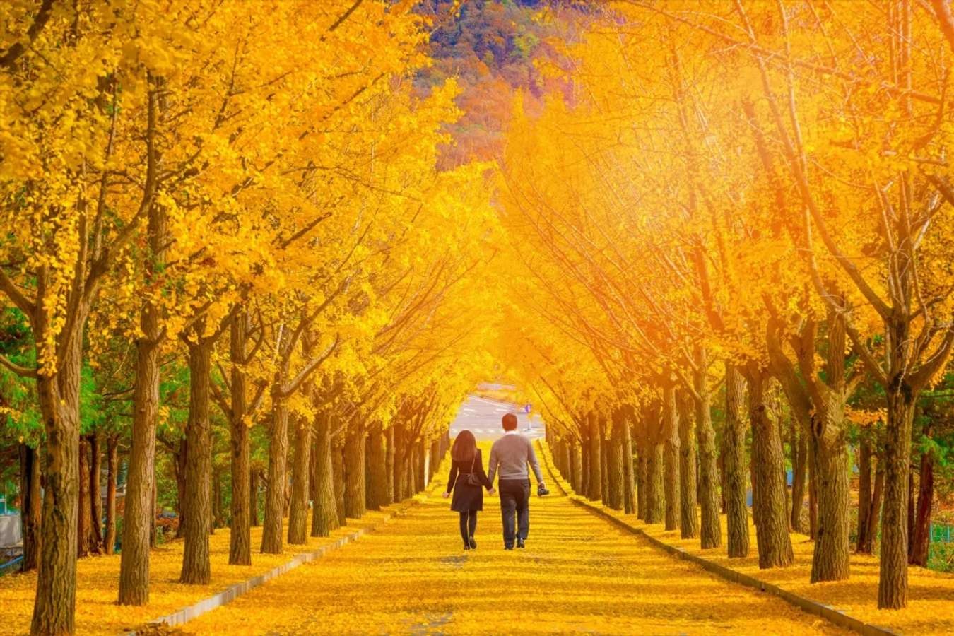 Du lịch Hàn Quốc