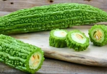 Mướp đắng, hay còn gọi là khổ qua