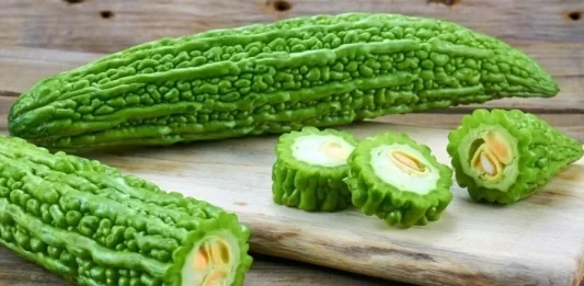 Mướp đắng, hay còn gọi là khổ qua