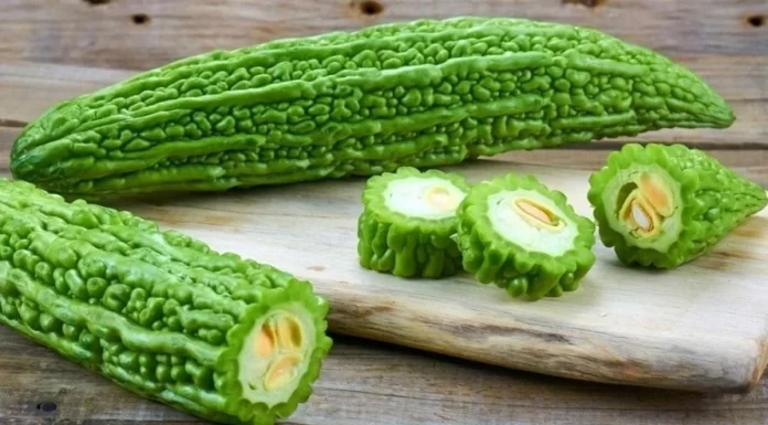 Mướp đắng, hay còn gọi là khổ qua