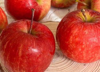 Khám Phá Những Lợi Ích Tuyệt Vời Khi Ăn Táo Thường Xuyên
