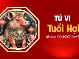Tử vi 12 con giáp tháng 11/2025 tuổi Hợi âm lịch: Mọi sự hanh thông, gặp hung hóa cát