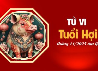 Tử vi 12 con giáp tháng 11/2025 tuổi Hợi âm lịch: Mọi sự hanh thông, gặp hung hóa cát
