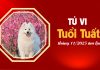 Tử vi 12 con giáp tháng 11/2025 tuổi Tuất âm lịch: Giai đoạn chững lại đòi hỏi sự bứt phá mạnh mẽ