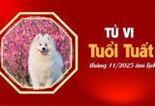 Tử vi 12 con giáp tháng 11/2025 tuổi Tuất âm lịch: Giai đoạn chững lại đòi hỏi sự bứt phá mạnh mẽ