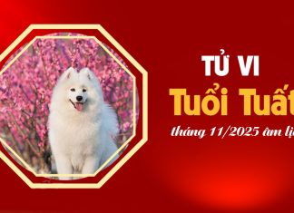 Tử vi 12 con giáp tháng 11/2025 tuổi Tuất âm lịch: Giai đoạn chững lại đòi hỏi sự bứt phá mạnh mẽ