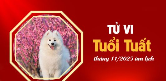 Tử vi 12 con giáp tháng 11/2025 tuổi Tuất âm lịch: Giai đoạn chững lại đòi hỏi sự bứt phá mạnh mẽ