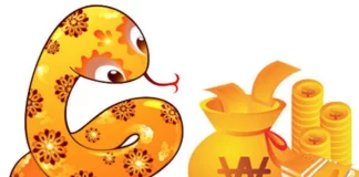 3 Con Giáp Gặt Hái Thành Công Vẻ Vang