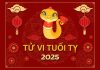 Tử Vi Tháng 11/2025 Tuổi Tị Âm Lịch: Giai Đoạn Nhẹ Nhàng, Thuận Buồm Xuôi Gió