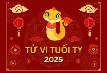 Tử Vi Tháng 11/2025 Tuổi Tị Âm Lịch: Giai Đoạn Nhẹ Nhàng, Thuận Buồm Xuôi Gió