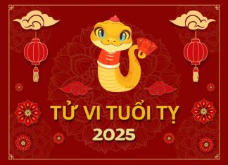 Tử Vi Tháng 11/2025 Tuổi Tị Âm Lịch: Giai Đoạn Nhẹ Nhàng, Thuận Buồm Xuôi Gió