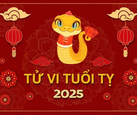 Tử Vi Tháng 11/2025 Tuổi Tị Âm Lịch: Giai Đoạn Nhẹ Nhàng, Thuận Buồm Xuôi Gió