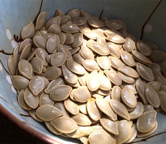 Bí kíp sức khỏe từ hạt bí ngô – Loại hạt giá rẻ chứa dưỡng chất “vượt mặt” óc chó