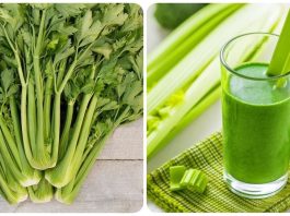 Những người không nên uống nước ép cần tây và những lưu ý quan trọng