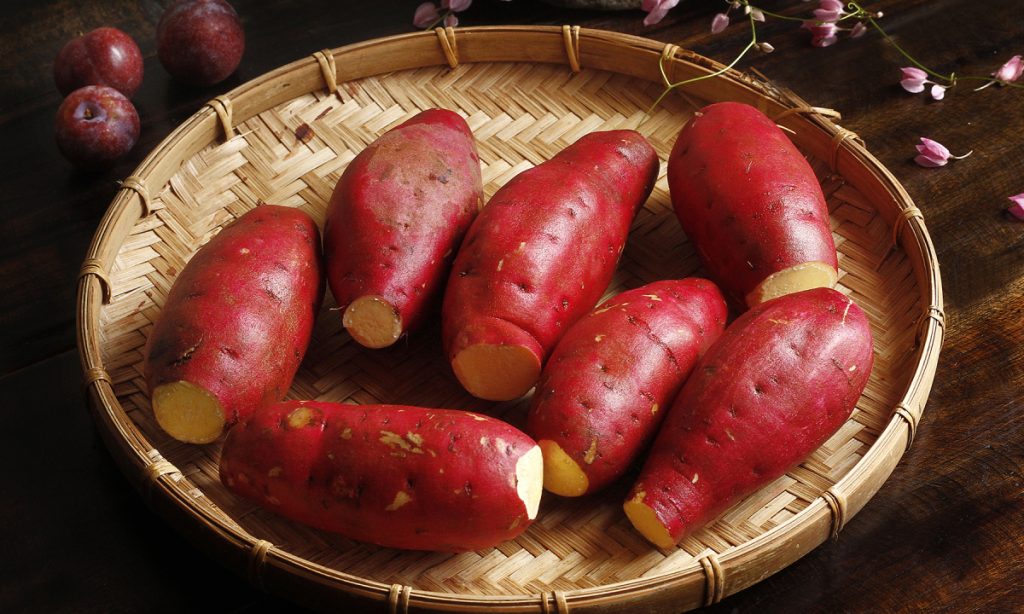 Thực Phẩm Giàu Chất Xơ