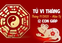 Tử vi 12 con giáp tháng 11/2025 âm lịch